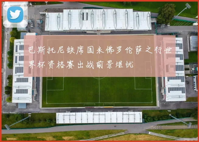 巴斯托尼缺席国米佛罗伦萨之行世界杯资格赛出战前景堪忧